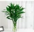 Import fu gui zu indoor Ornamental Plants Natural Lucky Spiral Bamboo Plant from China