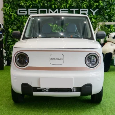 Geely Geometry Panda Mini Longteng PRO Edition Electric New Energy Vehicle