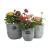 Import Gift Garden Wicker Handmade Flower Basket Without Handles from China