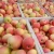 Import golden delicious fresh apple fruit from China
