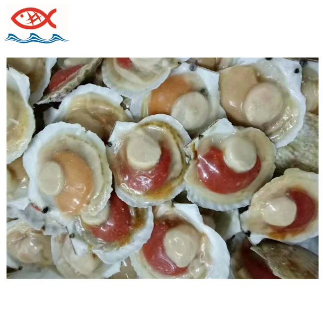 good sale frozen japanese scallop half shell