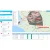 Import gps platform Mobicom google maps gps car fleet tracking system from China