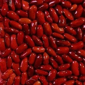 Grade AA speckled white red kidney beans for sale