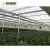 Import GREENDAY Low Price polycarbonate sheet agricultural Greenhouse invernadero agricultura from China