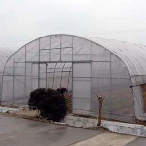 Greenhouse Tunnel Plastic Film Greenhouse with Hydroponic Growing System