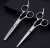 Import Hair Cutting Scissors Set Hairdressing Thinning Scissor Kit, ,Hair Comb ,Professional Barber Salon Home Shear Kit from China