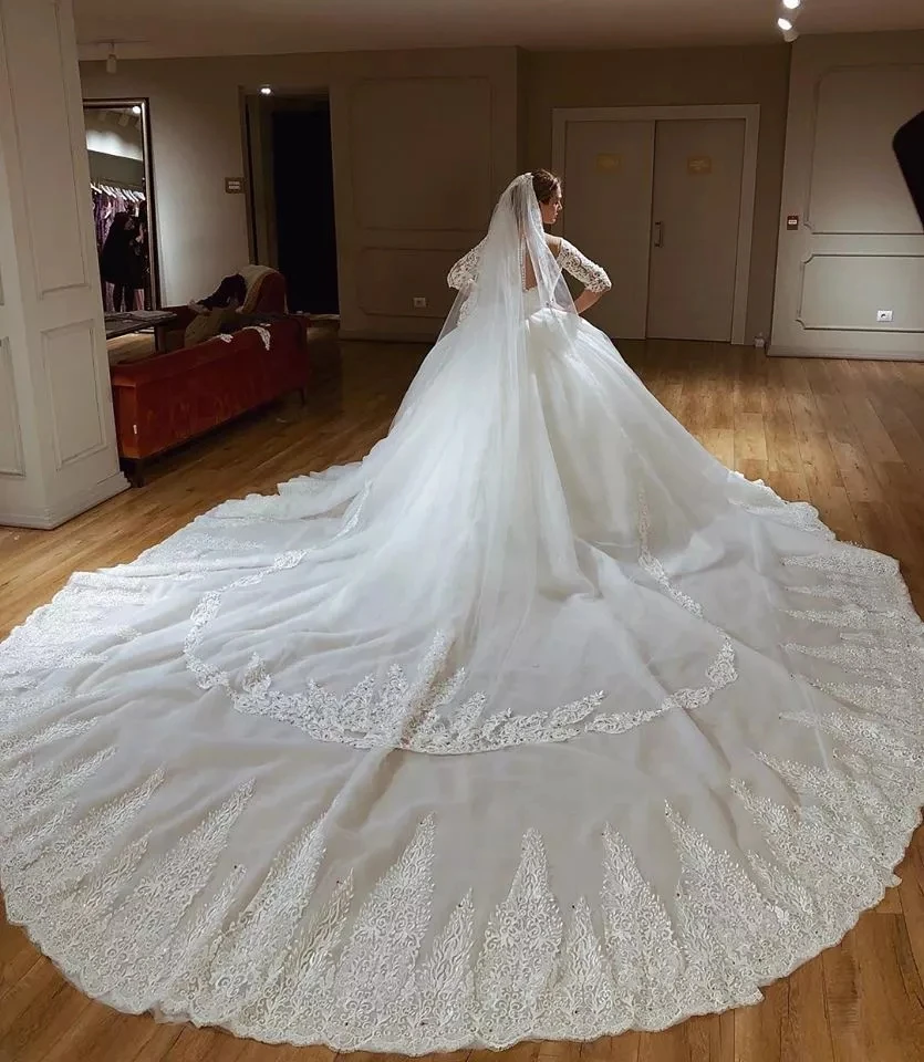 Half Sleeves Lace Applique Wedding Dress Ball Gown Illusion Backless Sweetheart long sleeves Bridal Dress ball bridal gowns