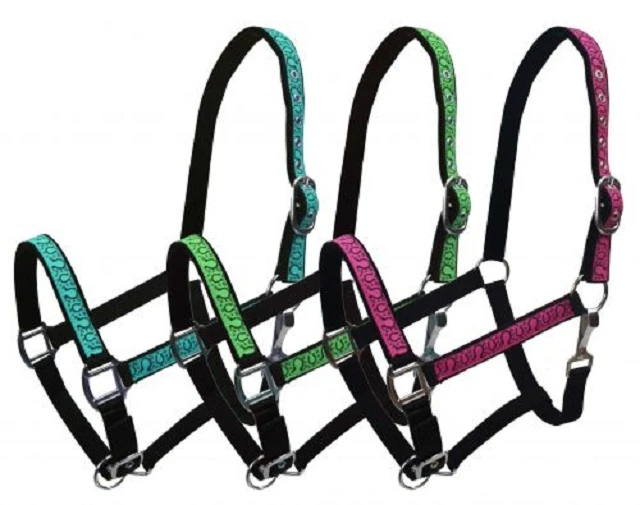 Halters for Horse