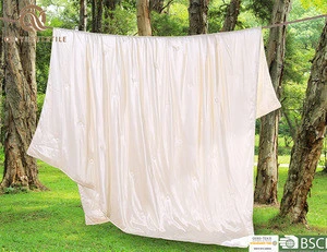 Handmade Pure Silk Duvet/Best Fashion Quilt/High Quality Comforter