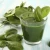 Import Health food spinach powder spinach extract from China
