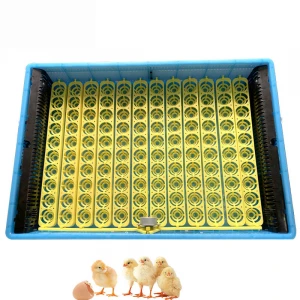 HHD Automatic 720 chicken egg hatching machine ostriches eggs incubator