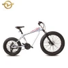 HIGH QUALITY 26/20 inch free style fat tyre BMX Beach bike for sale