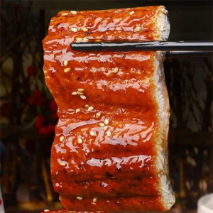 High quality Froze Roasted Eel Vacuum Packing frozen seafood