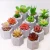 Import High Quality Mini Succulent Artificial Plant Cement Pot from China