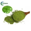 High Quality Organic Water Soluble Moringa Oleifera Leaf Extract Powder