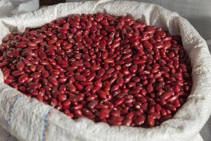 High Quality Red Kidney Beans, Pinto Beans At Best Price