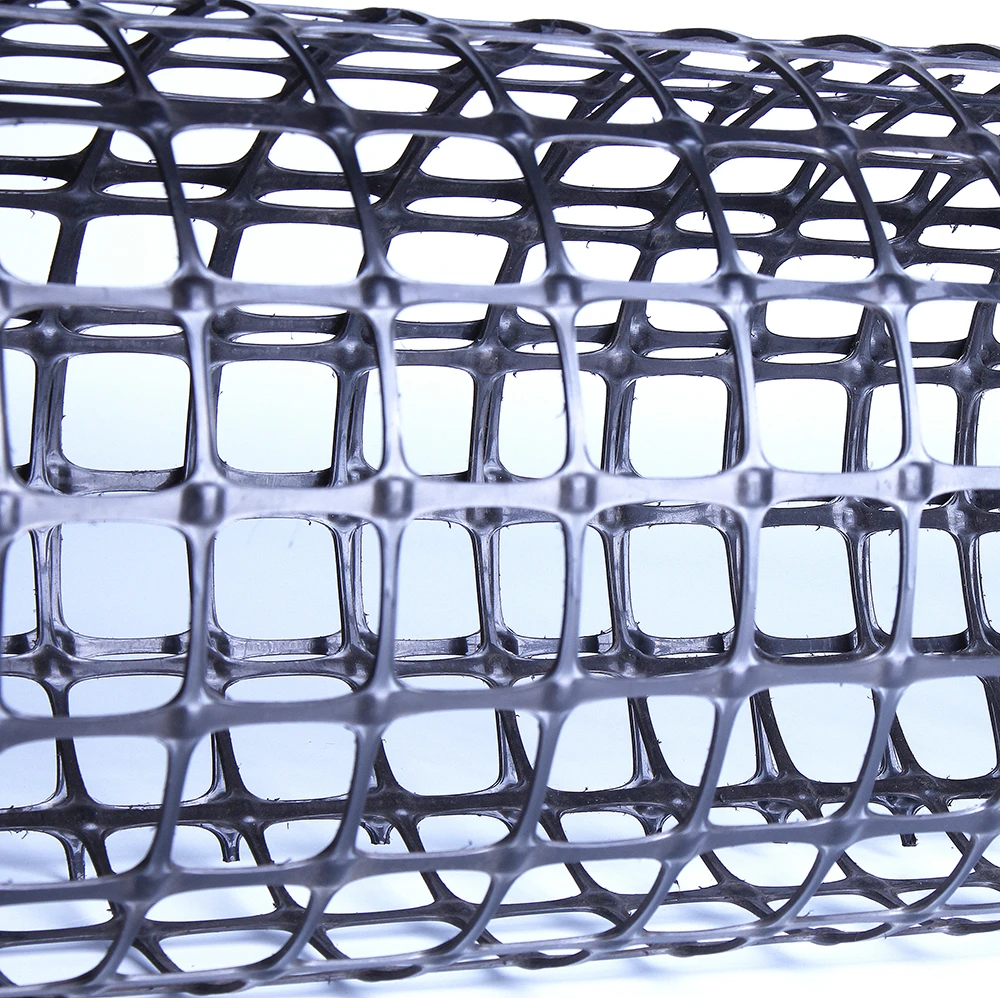 High Tensile Strength Plastic Biaxial Geogrid