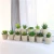 Import Home Decoration Artificial Succulent Plants with recycling Pulp Pot from China