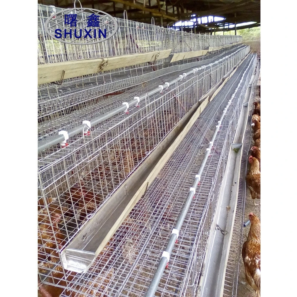 Hot dipped galvanized 3 tiers 4 doors 96 birds chicken cage with CE certificate
