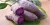 Import HOT PRODUCT FOR HOLIDAY: FROZEN FRESH PURPLE SWEET POTATO from Vietnam