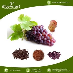 Hot Sale 100% Fresh Grape Seed Extract Powder