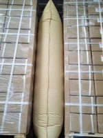 Hot Sale Kraft Paper Dunnage Airbag Supplier Made in China