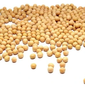 hot sale soybean buyers