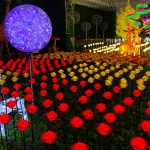 Hot Sale Waterproof Colorful Rose Garden Yard Lawn Ground Light Festive Party Romantic Decoration Outdoors Led Light