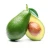 Import Hot sales Price Fresh  Avocado Wholesale Avocado Fresh from South Africa
