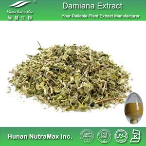 Hot Selling Damiana Leaf Herbal Extract