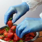 Household Vinyl Gloves