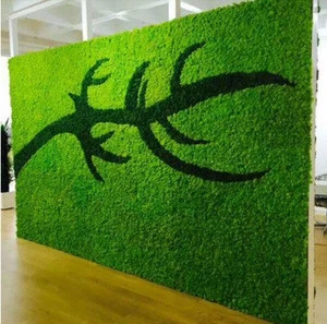 Immortal bryophyte background wall preservation flowers vertical green background wall diy material fake green plant wall simula