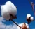 Import Indian pure Cotton Exporter from Philippines