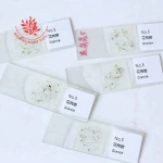 Individual prepared granite rock grinding section geology microscope slides