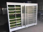 industrial soybean sprout machine mung bean sprout machine