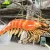 Import KANOSAUR5335 Theme Event Excellent Quality Fiberglass Lobster from China