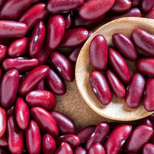 Kidney Beans Product Type and Vacuum Pack Packaging Pinto beans