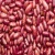 Import Kidney Red Beans from Thailand