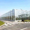 Large scale soilless cultivation agriculture glass greenhouse for vegetable growing