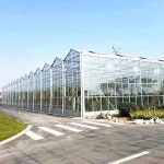 Large scale soilless cultivation agriculture glass greenhouse for vegetable growing