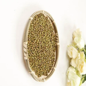 Latest Products High Quality Good Price High Quality Green Muang Bean