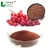 Import LongZe Supply Grape Skin Extract Resveratrol powder 5% 10% grape seed extract 95% with best quality from China