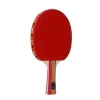 Manufacturer direct selling A009 training table tennis racket practice racket set table tennis three ball two racket poplar