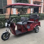 Manufacturer Hot Sale Cheap motorized adults valve mobility adult passenger tricycle electric mobility scooter with cabin