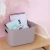 Import Manufacturer hot sale household plastic toys and clothing storage box with lid from China
