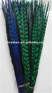 manufacturer supplier dyed long reeves pheasant tail feathers for carnival festival