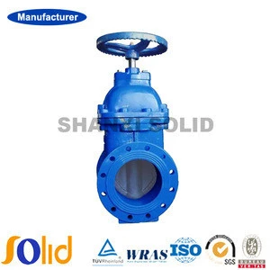 Manufacturers Resilient Flanged Gate Valve