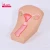 Import Medical equipment IUD insert surgical training model with uterus model from China