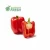 Import Mexico Grown Red Bell Pepper Vegetable Robinson Fresh MOQ 22-26 COUNT Quick Delivery in US from USA