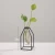 Import Modern Iron Art Geometric Succulent Glass Vases Flower Planter Pot For Home Room Table Decoration from China